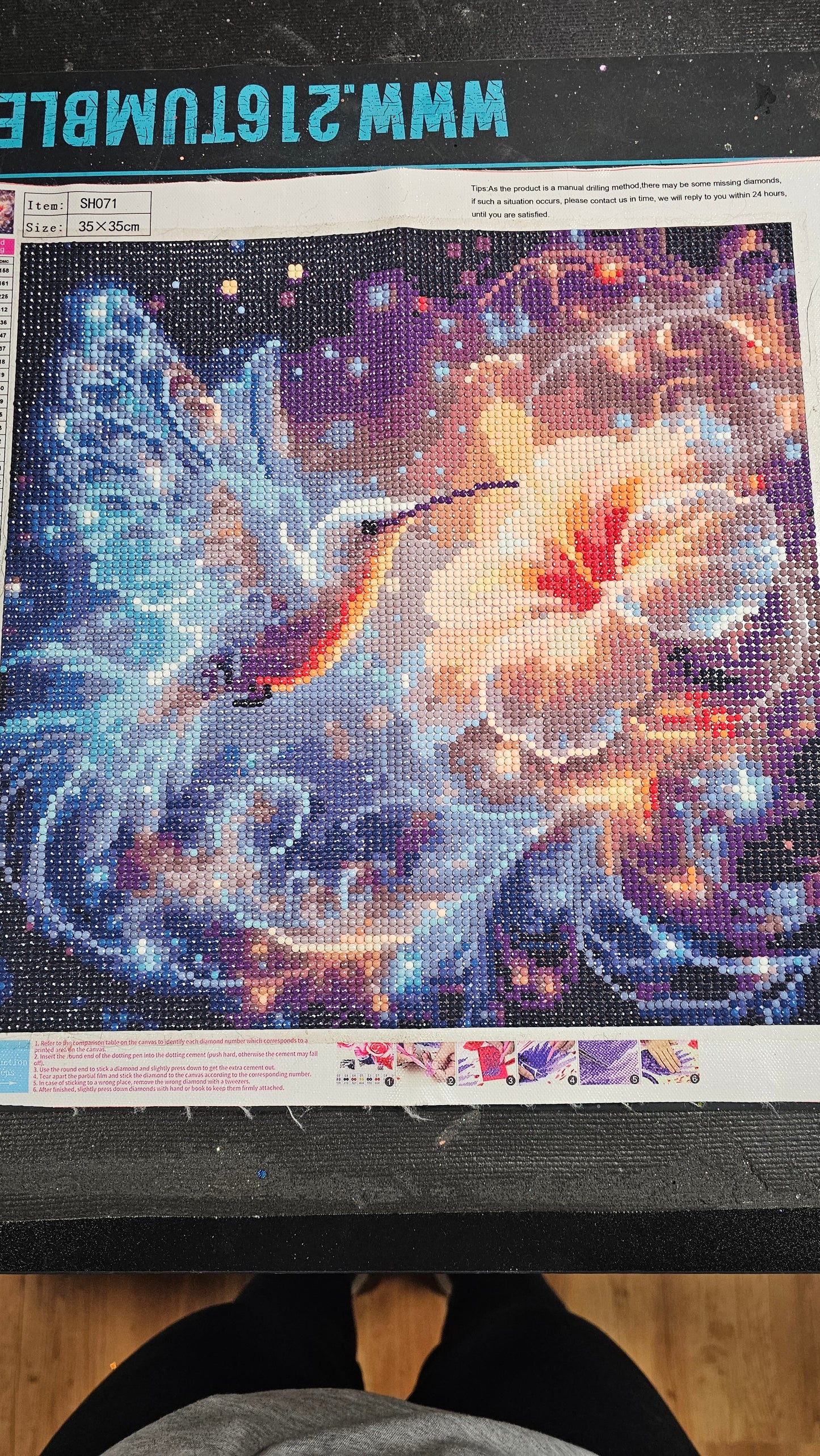 Hummingbird Diamond art